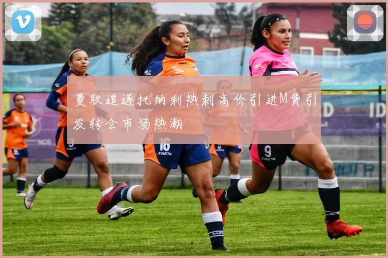 曼联追逐托纳利热刺高价引进M费引发转会市场热潮