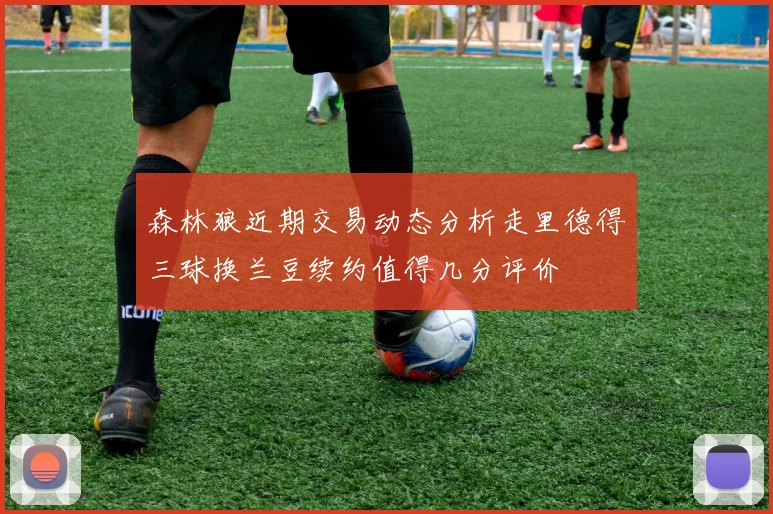 森林狼近期交易动态分析走里德得三球换兰豆续约值得几分评价