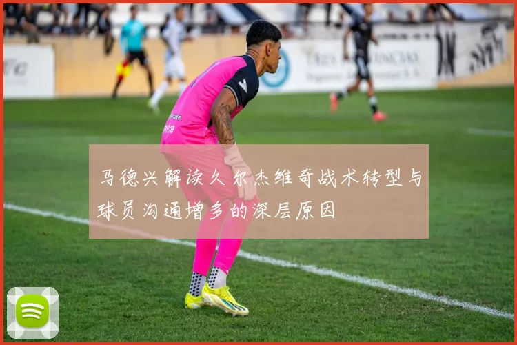 马德兴解读久尔杰维奇战术转型与球员沟通增多的深层原因